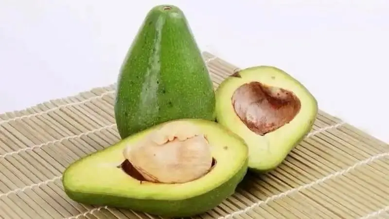 Alimentos variados que aportan diferentes nutrientes y energía al organismo